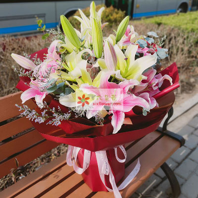 防城港8支多头百合，万事如意喜上加喜