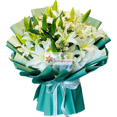 防城港8支白色多头百合洋甘菊，如潮的思念