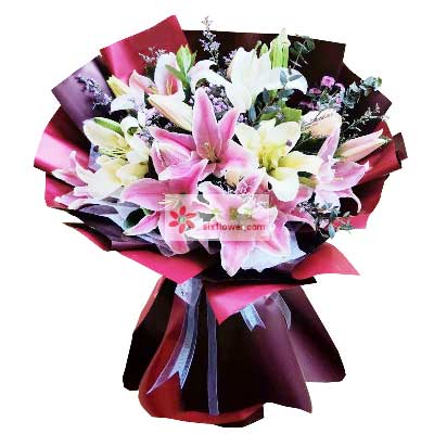 防城港8支百合花，天天开心