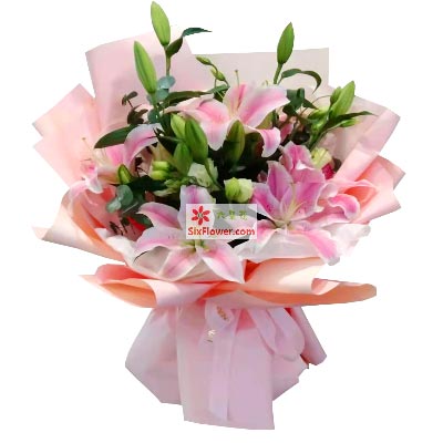 防城港6支粉色多头百合，祝你人生得意