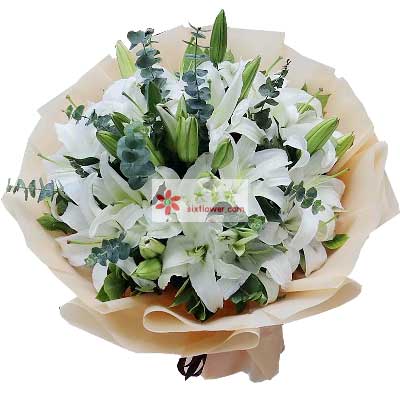 防城港9支白色多头百合，祝福你幸福